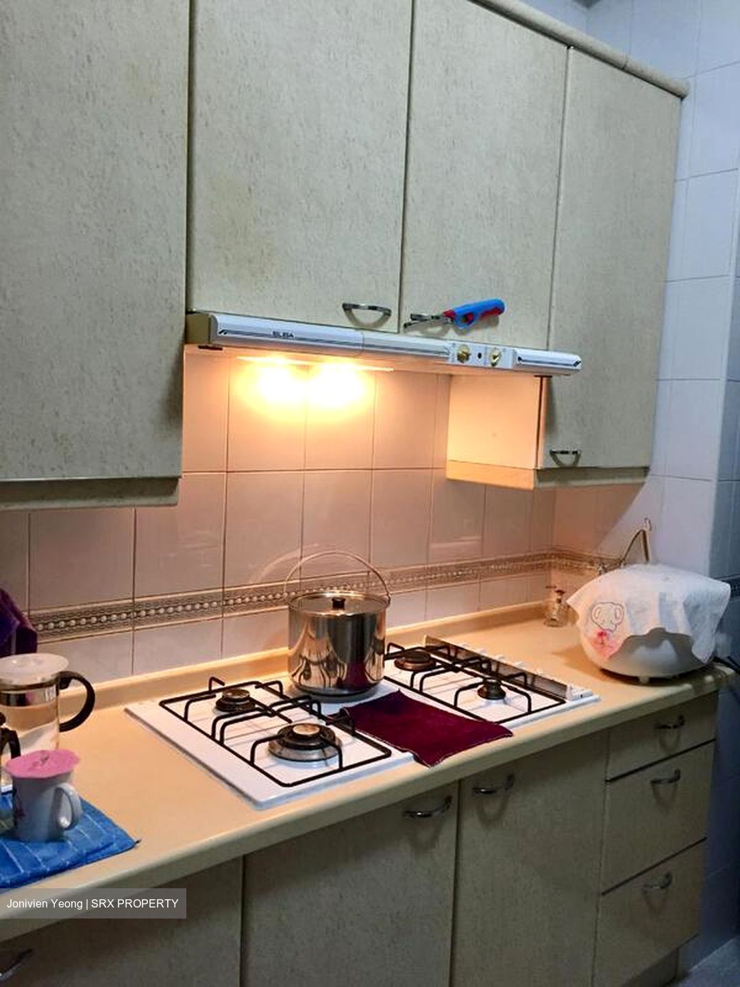 Parc Oasis (D22), Condominium #507626981